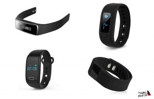 the ladies black cat